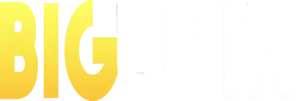 Big Lucky Casino logo